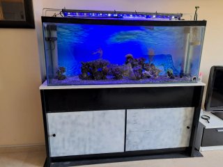 Acuario/Terrario urna de 360Lts