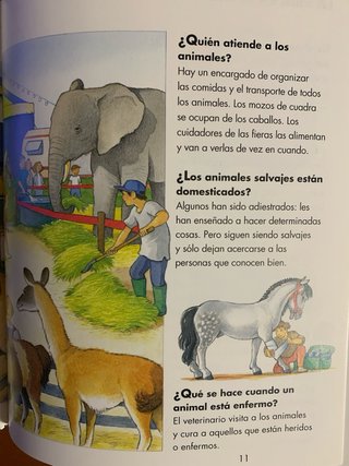 Preguntas y respuestas para niños. Edelvives