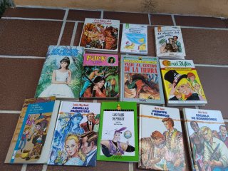 Lote 12 libros infantiles