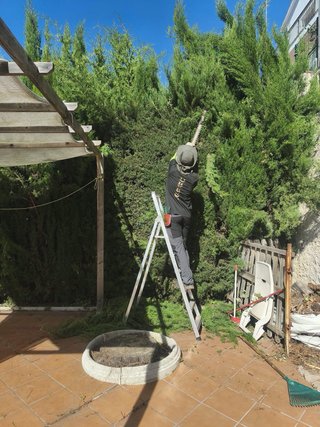 Jardinero con experiencia