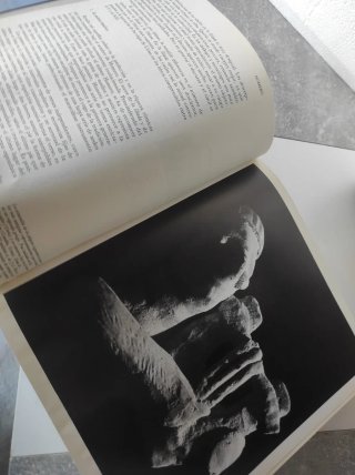 La Ilíada antología de la Odísea,1976
