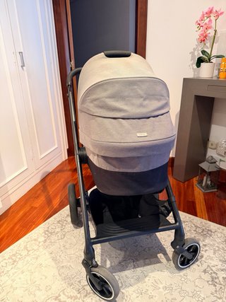 Carrito de paseo gris