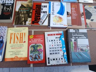 Lote 19 libros diferentes autores