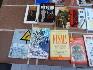 Lote 19 libros diferentes autores
