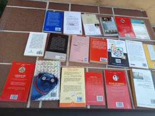 Lote 19 libros diferentes autores