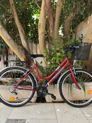 Bicicleta de paseo