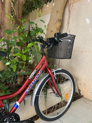 Bicicleta de paseo