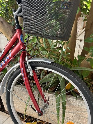 Bicicleta de paseo