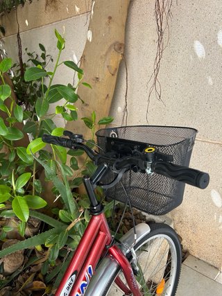 Bicicleta de paseo