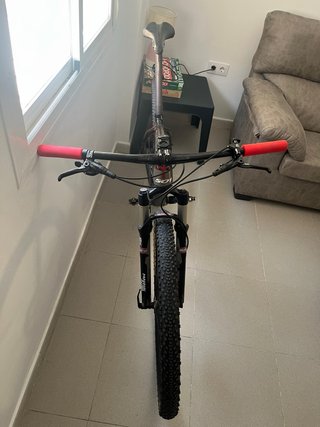 Wilier 501xn