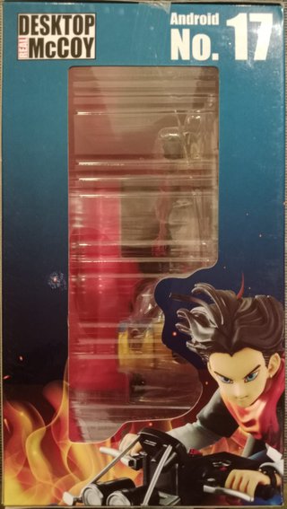 Dragon Ball Z Desktop Real Mccoy Androids 17 & 18