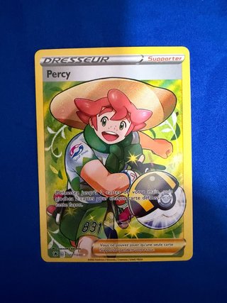 Carta Pokémon Dresseur Percy Supporter