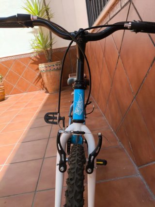 Bicicleta Infantil B'Twin First 20