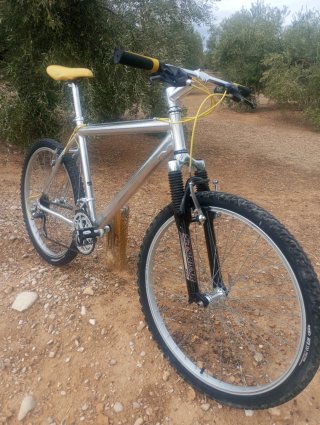 Bicicleta de montaña plateada