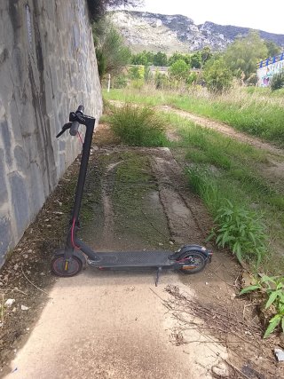 Patinete Eléctrico Xiaomi Pro 2