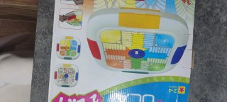 Juego educativo infantil 2 en 1