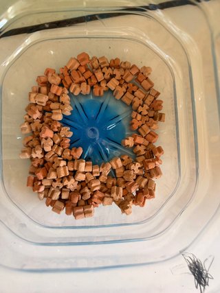 Acuario 18L cristal