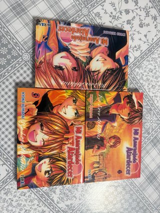 Manga mi amado atardecer Tomos del 1 al 3 de 5