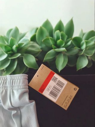 Pantalón corto Nike gris y rosa