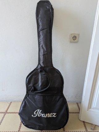 Guitarra Acústica Ibanez V50NJP