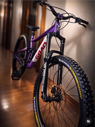Bici Enduro Giant reign 29