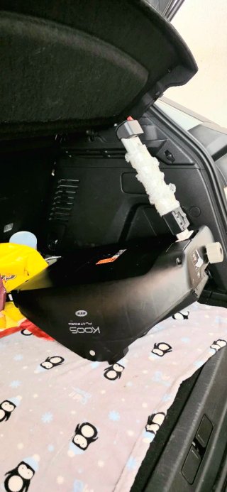 Maxi-Cosi Jane con Isofix y Relleno