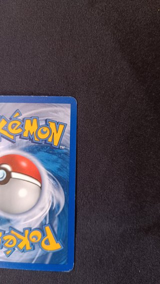Groudon #14 Reverse Holo Emerald sello PSA