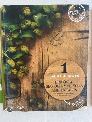 Libros 1 bachillerato