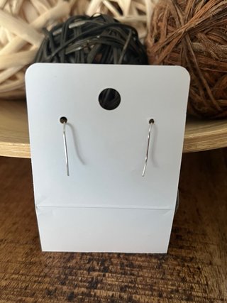 Pendientes hoja tropical plateados