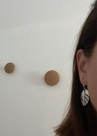 Pendientes hoja tropical plateados