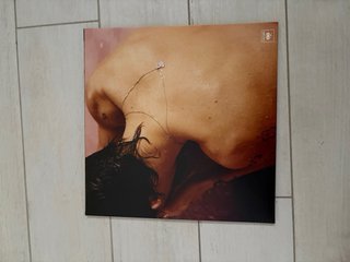 Vinile Harry Styles Fine Line