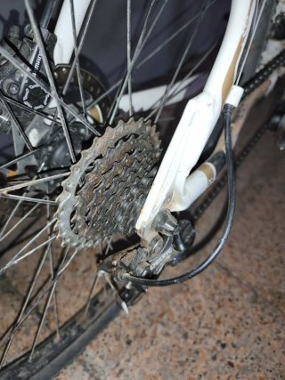 Bicicleta Orbea BTT