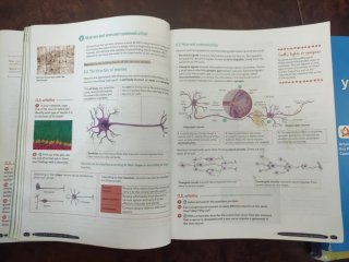 Biology & Geology 3º ESO. Student's book. GENiOX