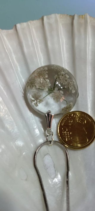 Colgante de flores silvestres des zanahoria