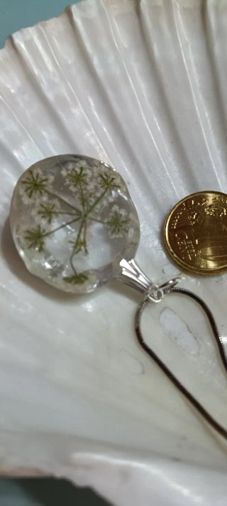 Colgante de flores silvestres des zanahoria