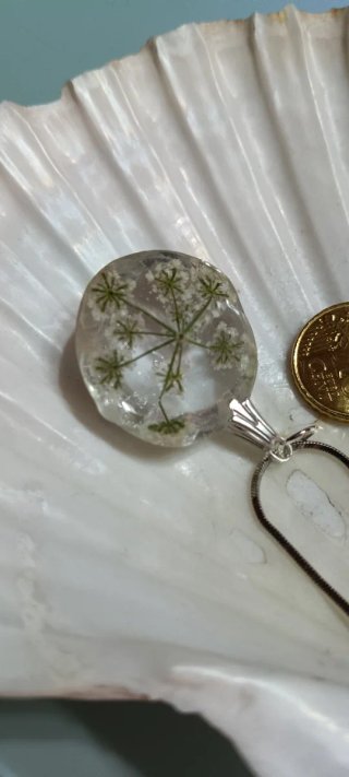 Colgante de flores silvestres des zanahoria