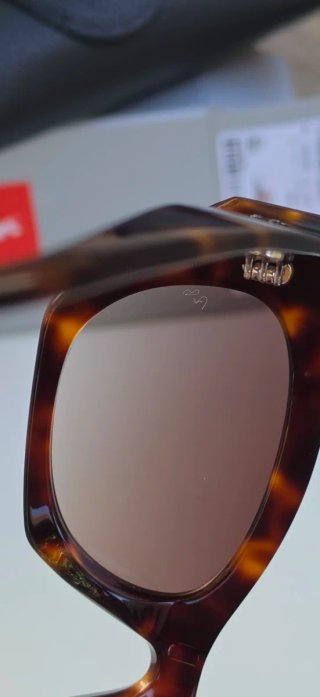 Gafas de Sol Marrones Tortoise