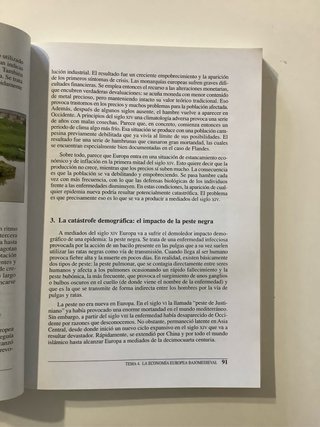 Historia Medieval II (Siglos XIII-XV)