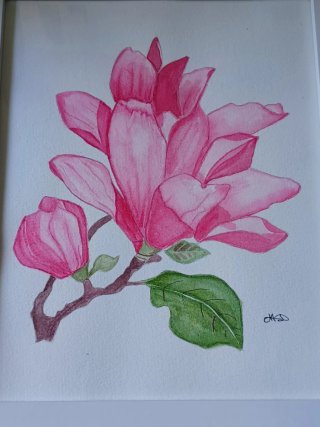 Acuarela Original Magnolia con Marco
