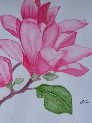 Acuarela Original Magnolia con Marco