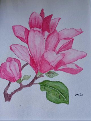 Acuarela Original Magnolia con Marco