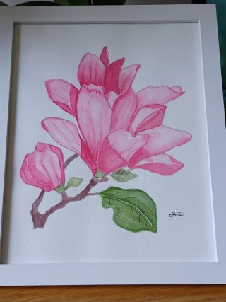 Acuarela Original Magnolia con Marco