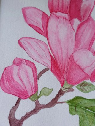 Acuarela Original Magnolia con Marco