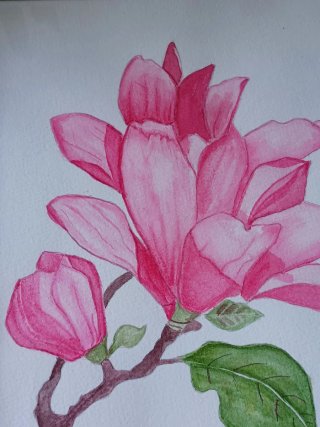 Acuarela Original Magnolia con Marco