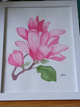 Acuarela Original Magnolia con Marco