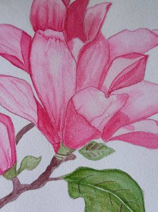 Acuarela Original Magnolia con Marco