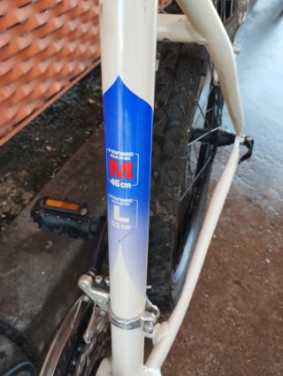 Bicicleta Agece Ibiza 26 Azul/Blanco