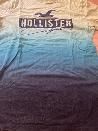 Franela Hollister Degradado Verde y Azul