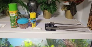 Acuario completo Como nuevo Pecera