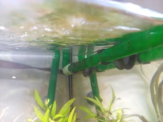 Acuario completo Como nuevo Pecera